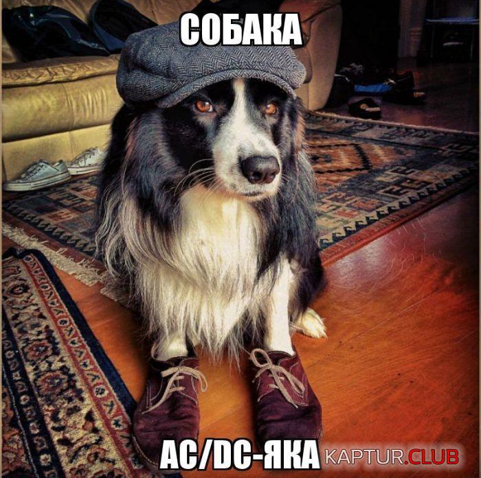 2.png | Рено Каптур Клуб Россия | Форум KAPTUR.SU