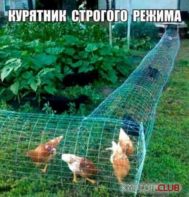 2.png | Рено Каптур Клуб Россия | Форум KAPTUR.SU