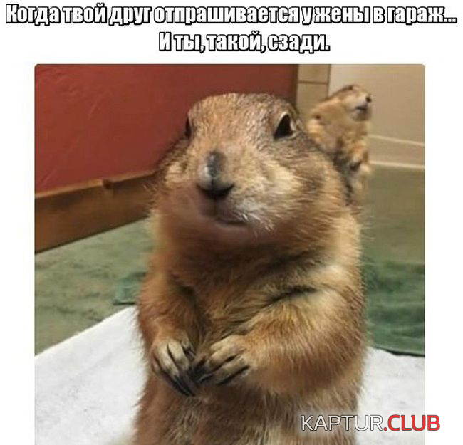 2.png | Рено Каптур Клуб Россия | Форум KAPTUR.SU