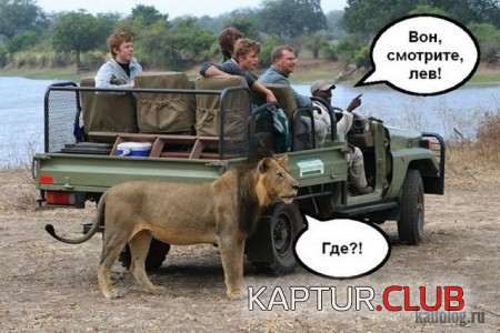 2.png | Рено Каптур Клуб Россия | Форум KAPTUR.SU