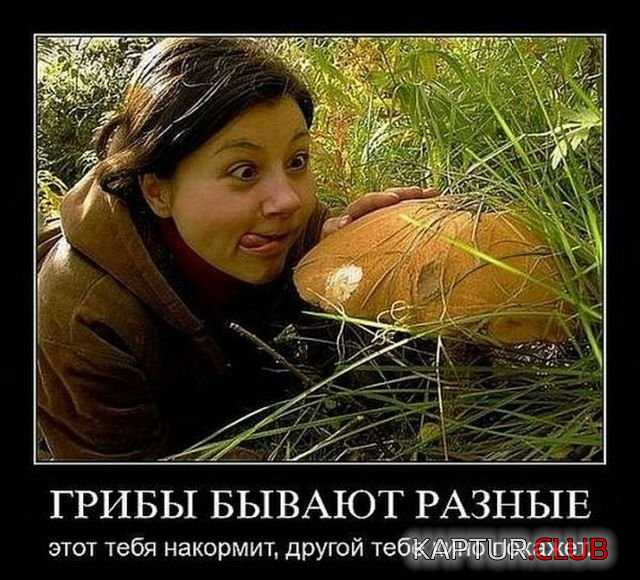 2.png | Рено Каптур Клуб Россия | Форум KAPTUR.SU
