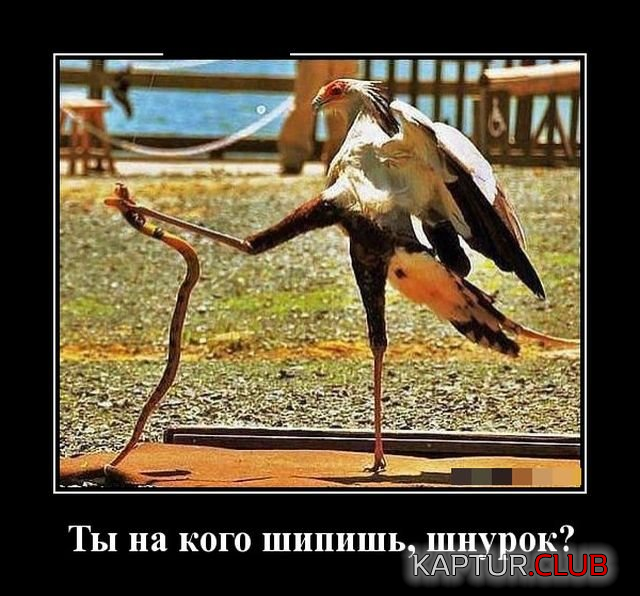 2.png | Рено Каптур Клуб Россия | Форум KAPTUR.SU