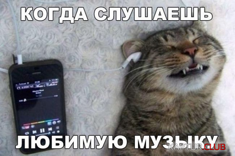 2.png | Рено Каптур Клуб Россия | Форум KAPTUR.SU