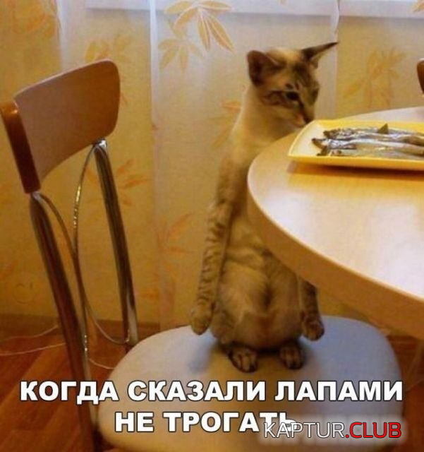 2.png | Рено Каптур Клуб Россия | Форум KAPTUR.SU