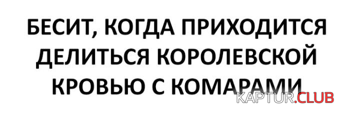 2.png | Рено Каптур Клуб Россия | Форум KAPTUR.SU