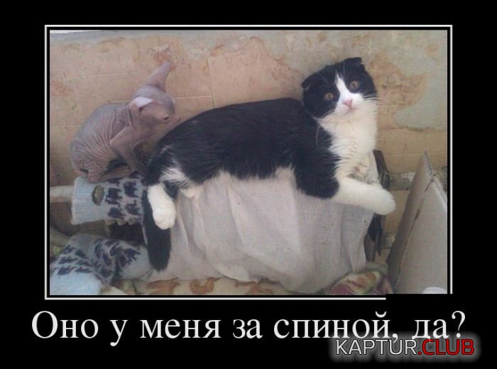 2.png | Рено Каптур Клуб Россия | Форум KAPTUR.SU