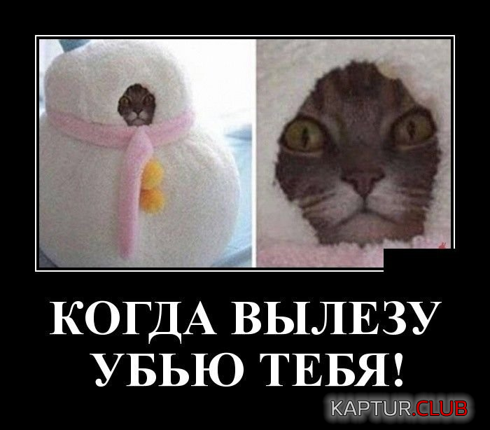 2.png | Рено Каптур Клуб Россия | Форум KAPTUR.SU