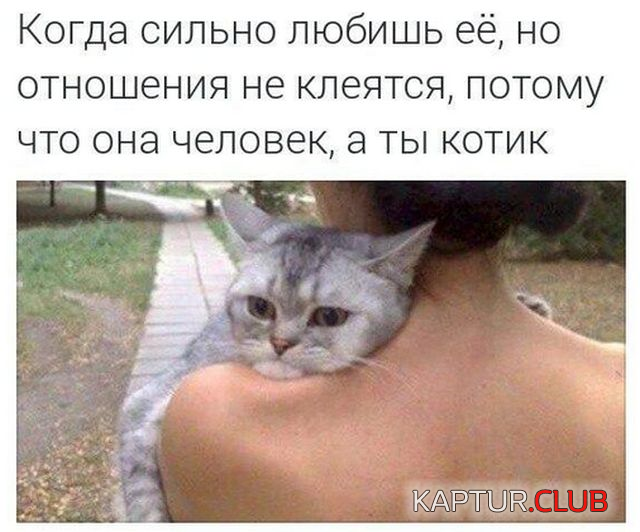 2.png | Рено Каптур Клуб Россия | Форум KAPTUR.SU
