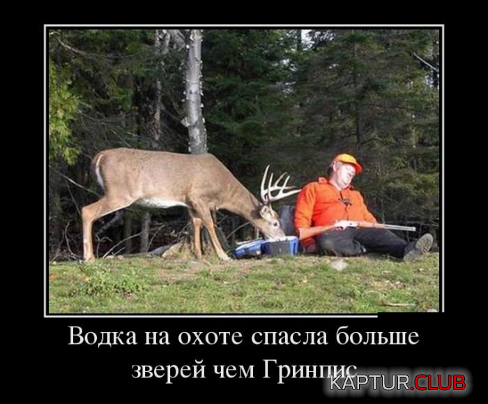 2.png | Рено Каптур Клуб Россия | Форум KAPTUR.SU