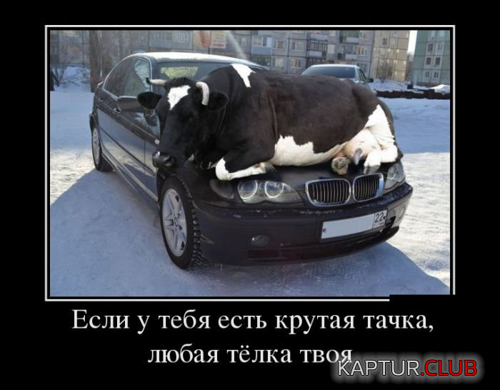 2.png | Рено Каптур Клуб Россия | Форум KAPTUR.SU