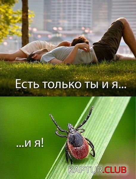 2.png | Рено Каптур Клуб Россия | Форум KAPTUR.SU