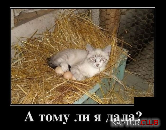 2.png | Рено Каптур Клуб Россия | Форум KAPTUR.SU