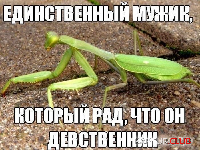 2.png | Рено Каптур Клуб Россия | Форум KAPTUR.SU