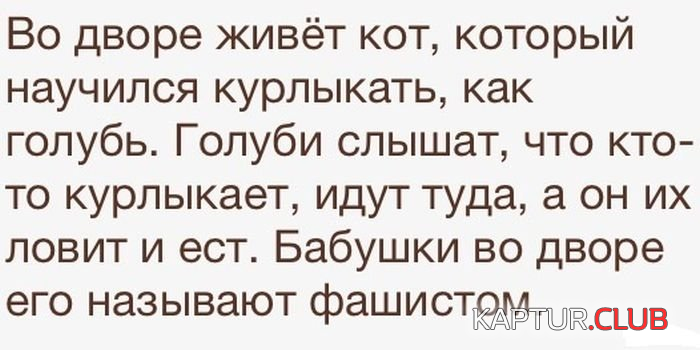 2.png | Рено Каптур Клуб Россия | Форум KAPTUR.SU