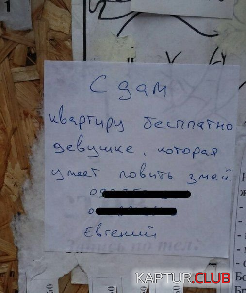 2.png | Рено Каптур Клуб Россия | Форум KAPTUR.SU