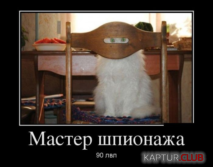 2.png | Рено Каптур Клуб Россия | Форум KAPTUR.SU