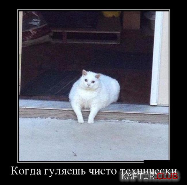 2.png | Рено Каптур Клуб Россия | Форум KAPTUR.SU