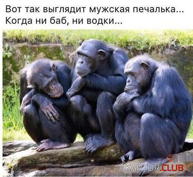 2.png | Рено Каптур Клуб Россия | Форум KAPTUR.SU