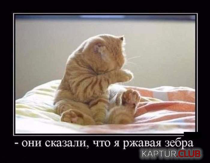 2.png | Рено Каптур Клуб Россия | Форум KAPTUR.SU
