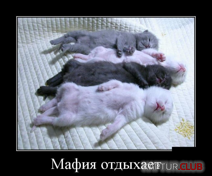 2.png | Рено Каптур Клуб Россия | Форум KAPTUR.SU