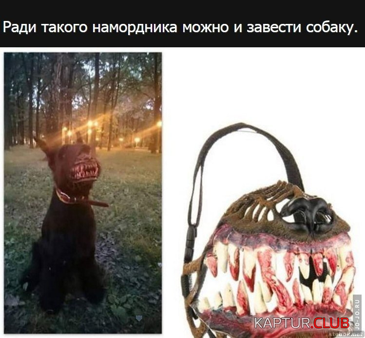 2.png | Рено Каптур Клуб Россия | Форум KAPTUR.SU