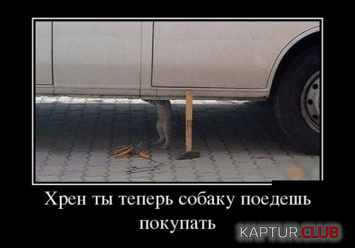 2.png | Рено Каптур Клуб Россия | Форум KAPTUR.SU
