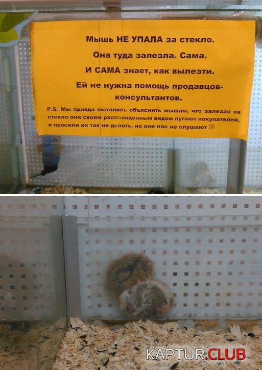 2.png | Рено Каптур Клуб Россия | Форум KAPTUR.SU