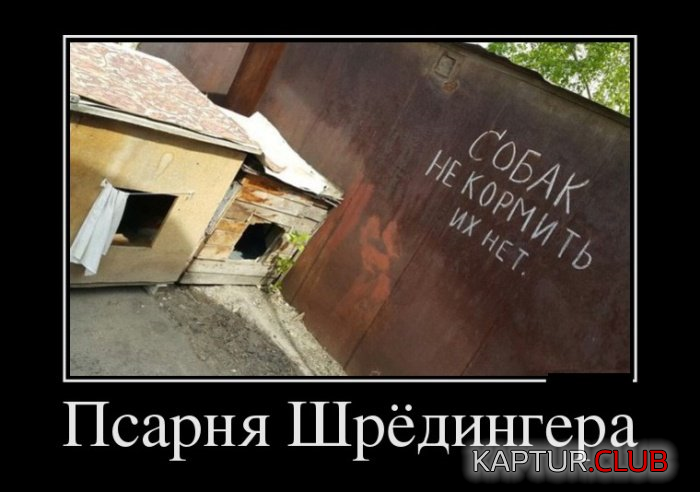 2.png | Рено Каптур Клуб Россия | Форум KAPTUR.SU