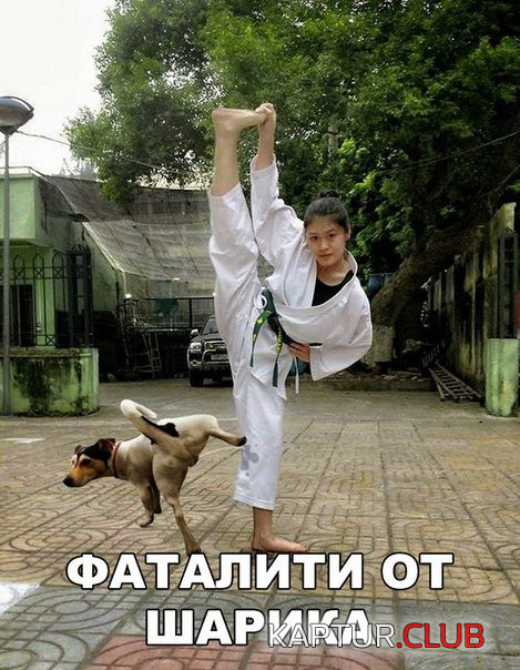 2.png | Рено Каптур Клуб Россия | Форум KAPTUR.SU
