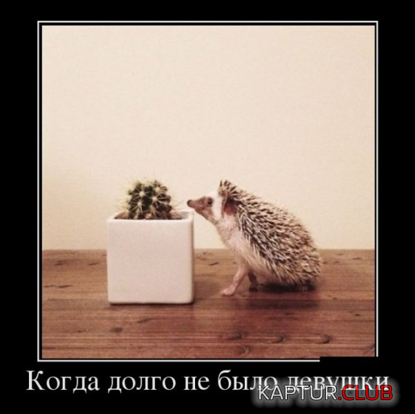 2.png | Рено Каптур Клуб Россия | Форум KAPTUR.SU