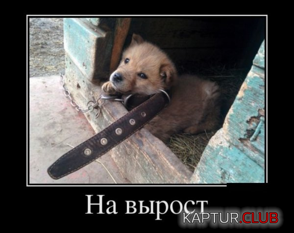 2.png | Рено Каптур Клуб Россия | Форум KAPTUR.SU