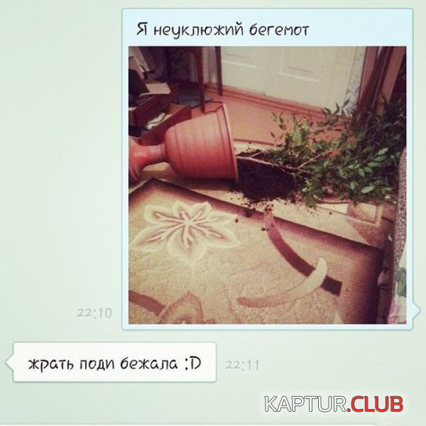 2.png | Рено Каптур Клуб Россия | Форум KAPTUR.SU