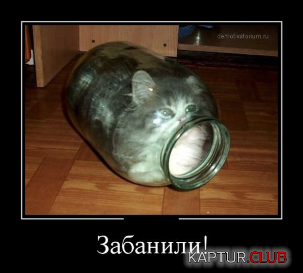 2.png | Рено Каптур Клуб Россия | Форум KAPTUR.SU