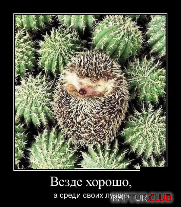 2.png | Рено Каптур Клуб Россия | Форум KAPTUR.SU
