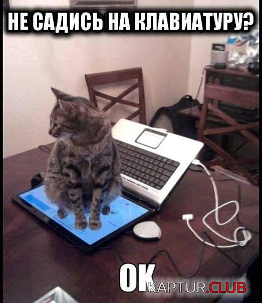 2.png | Рено Каптур Клуб Россия | Форум KAPTUR.SU
