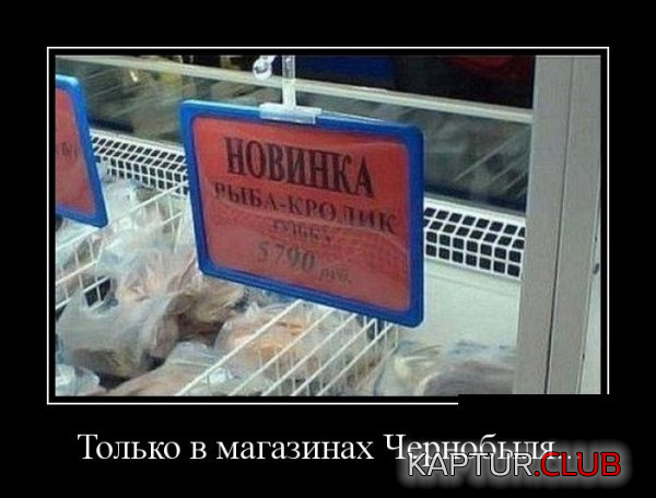 2.png | Рено Каптур Клуб Россия | Форум KAPTUR.SU