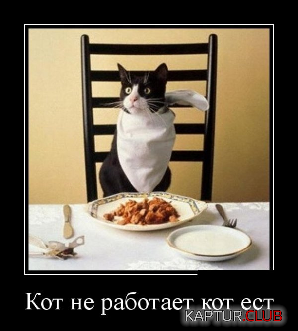 2.png | Рено Каптур Клуб Россия | Форум KAPTUR.SU