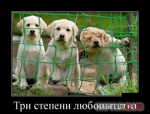 2.png | Рено Каптур Клуб Россия | Форум KAPTUR.SU