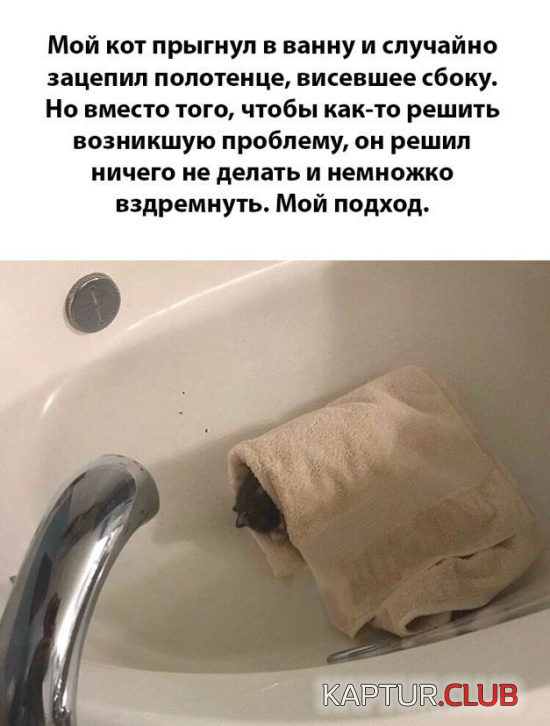 2.png | Рено Каптур Клуб Россия | Форум KAPTUR.SU