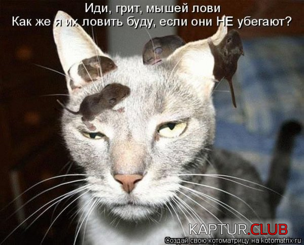 2.png | Рено Каптур Клуб Россия | Форум KAPTUR.SU