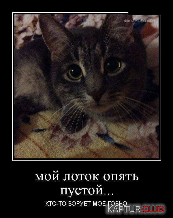 2.png | Рено Каптур Клуб Россия | Форум KAPTUR.SU