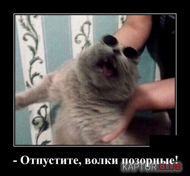 2.png | Рено Каптур Клуб Россия | Форум KAPTUR.SU