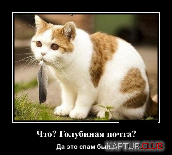 2.png | Рено Каптур Клуб Россия | Форум KAPTUR.SU