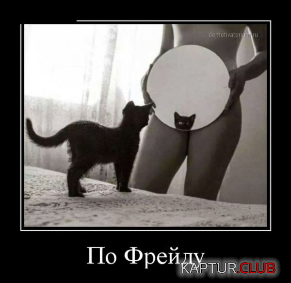 2.png | Рено Каптур Клуб Россия | Форум KAPTUR.SU