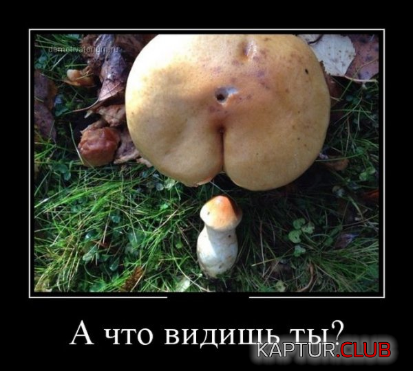 2.png | Рено Каптур Клуб Россия | Форум KAPTUR.SU