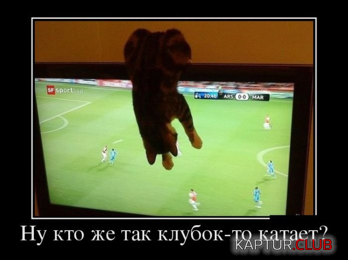 2.png | Рено Каптур Клуб Россия | Форум KAPTUR.SU