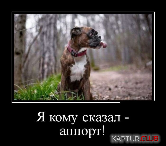 2.png | Рено Каптур Клуб Россия | Форум KAPTUR.SU