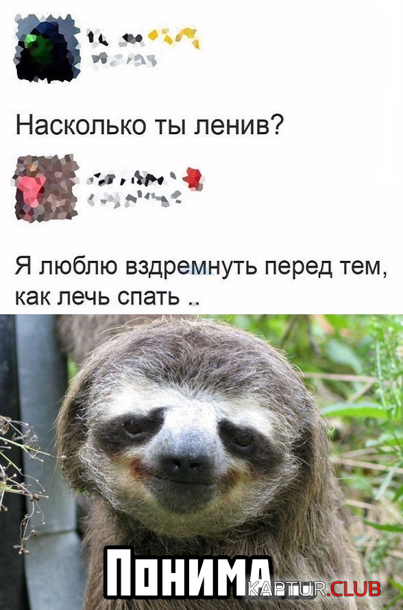 2.png | Рено Каптур Клуб Россия | Форум KAPTUR.SU