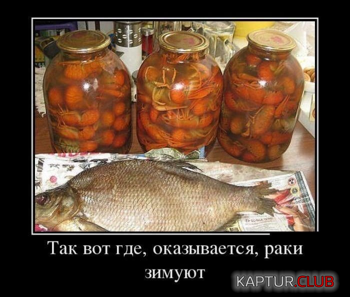 2.png | Рено Каптур Клуб Россия | Форум KAPTUR.SU