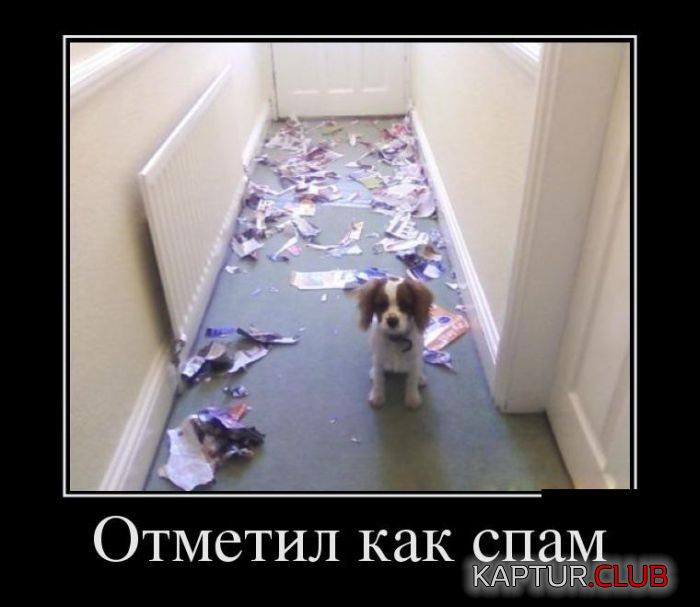 2.png | Рено Каптур Клуб Россия | Форум KAPTUR.SU